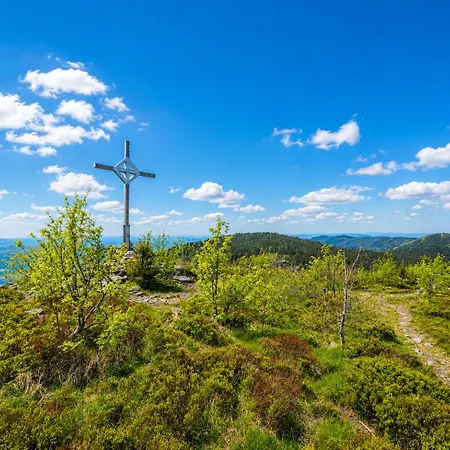 Apartment Ruhige Mit Balkon&bergblick Im Bayerischen Wald Nahe Arber Lohberg