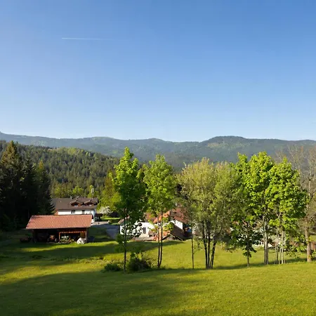 Ruhige Mit Balkon&bergblick Im Bayerischen Wald Nahe Arber Apartment Lohberg