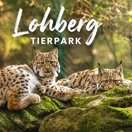 Ruhiges Mit Balkon & Bergblick Bayerischer Wald Gratis Osserbad * Lohberg