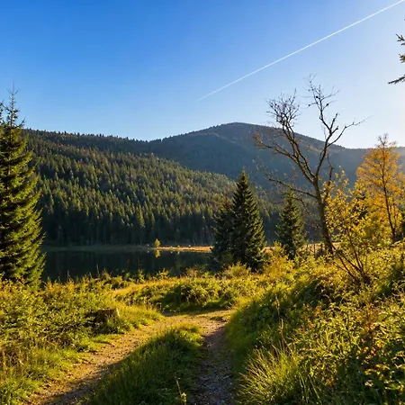 Ruhiges Mit Balkon & Bergblick Bayerischer Wald Gratis Osserbad Lohberg